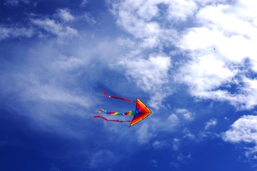 a kite in the sky