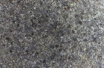 Detail of an old concrete wall covered with lichens. Vintage. Background