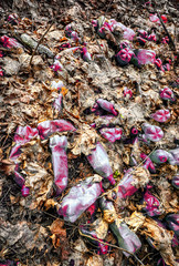 Illegal garbage in autumn forest. Ecologic problem in not developed countries.