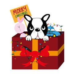 Merry Christmas text, with toys and cute Boston Terrier is sitting in the box. Good for posters, greeting cards, textiles, gifts.