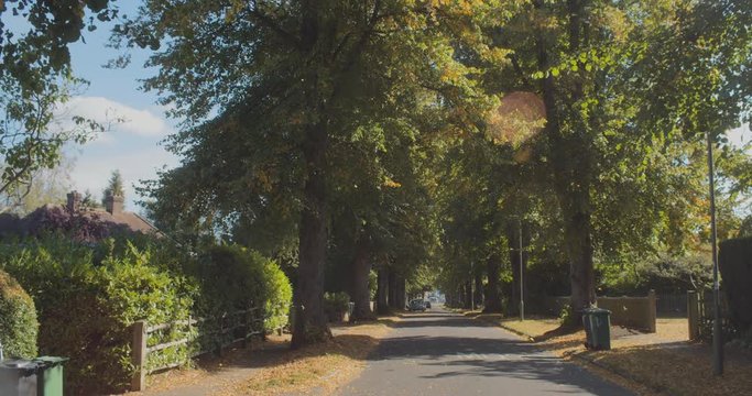 The beginning of Autumn with leaves falling from trees on a tranquil suburban road.  HANDHELD, SLOW MOTION.
