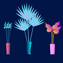 Flat plants set. Indoor plants. Flower pots. Leaves. Foliage. Trendy vector collection. Plants collection isolated on white. Flat design. Gradient colors. Outdoor. Tropical.
