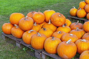 Kürbisse auf Paletten gestapelt
