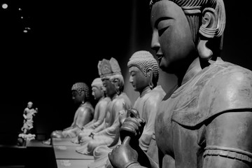  National Museum of Natural History