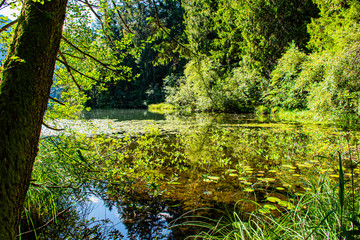 Piburgersee number nine