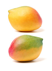 Mango on a white background