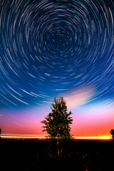 Circle star trails in the night sky above the lonely tree in the meadow