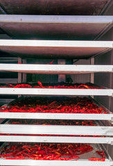 Industrial food dehydrator machine. Professional fruits and vegetables dehydration machines. Long...