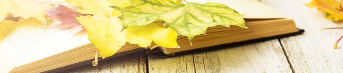 banner of Open Book and colorful maple leaves on white wooden background