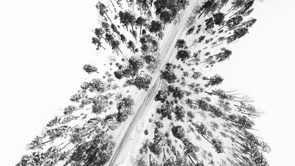 Winter snow covered pine forests and road bird's eye view