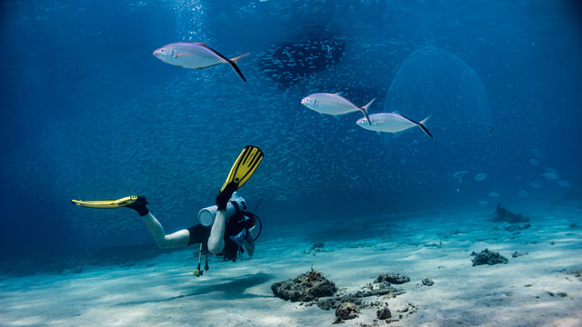 Fischschwarm unter Fischerboot im Flachwasser mit Taucherin