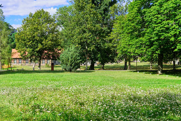Fototapeta na wymiar A green meadow with an old house behind the trees