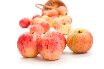 Fresh apples close up on white background