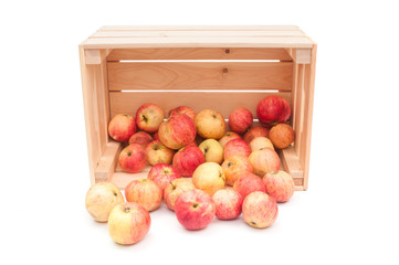Ripe apples in wooden box on white background