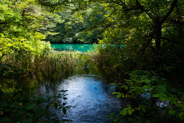 Obraz premium 五色沼湖沼群