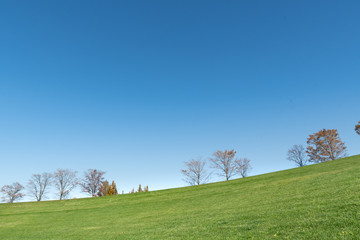 さわやかな青空と草原 / 北海道の観光イメージ