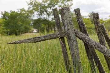 Fototapeta premium Verwitterter Holzzaun mit Gras überwachsen