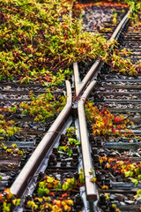 Weiche eines Schinenstranges 814516