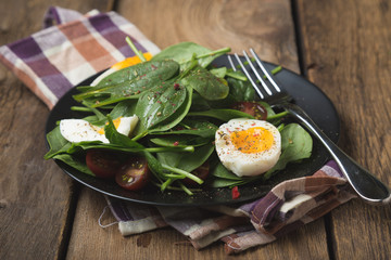 Salad with Fresh Spinach Vegetables and Eggs