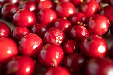 Ripe lingonberry closeup. The concept of a crop of berries, wholesome organic food. Shades of red. Cowberry, foxberry, red bilberry.