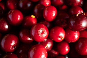 Ripe lingonberry closeup. The concept of a crop of berries, wholesome organic food. Shades of red. Cowberry, foxberry, red bilberry.
