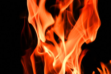 Fire flames on black background