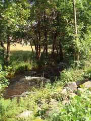 Torrent à La Bresse