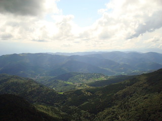Les Vosges