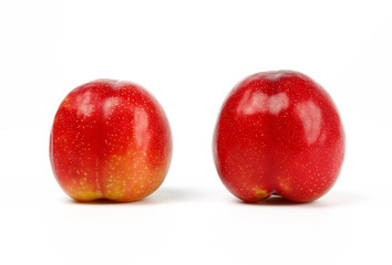 Fresh Chile red plum isolated on white background.
