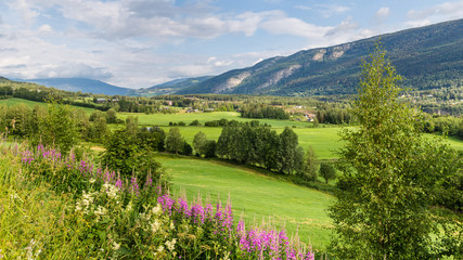 Panorama of Sorr-Fron municipality in Gudbrandsdal with mountains, village and farmland in Oppland county, Norway