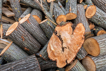 Brennholzlager © focus finder