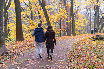 Fototapeta premium couple walking by autumn park fall season