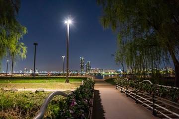 Obraz premium bridge over the river at night