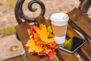 bouquet of yellow maple leaves with coffee cup and phone at city park bench
