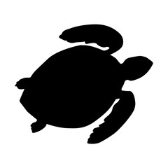 Isolated black silhouette of marine green turtle on white background.