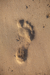 footprint in the sand. beach vacation