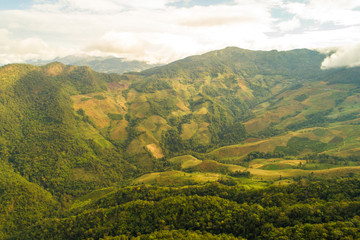 Obraz premium Mountain deep green tree forest nature landscape aerial view