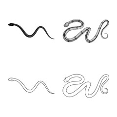 Isolated object of mammal and danger symbol. Set of mammal and medicine stock vector illustration.