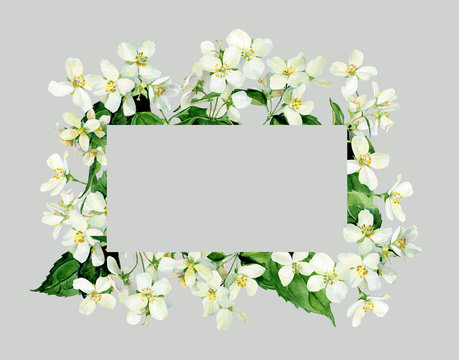 Frame Of Watercolor Jasmine Flowers