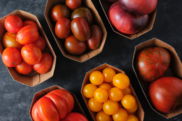 Different kinds of organic tomatoes