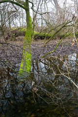 Wetland Cilizska mokrad, Slovakia