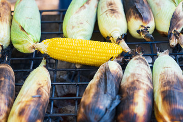 Grilled corns on the cob