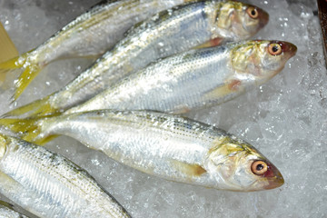 Fresh sea fish on ice in the market, Thailand.