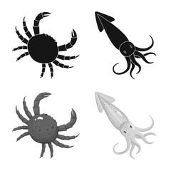 Isolated object of fresh and restaurant sign. Collection of fresh and marine stock symbol for web.