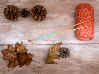 Knitting image with fall decoration