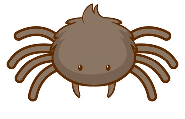 Cute spider on white background