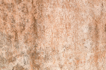 brown dirty mildewed wall