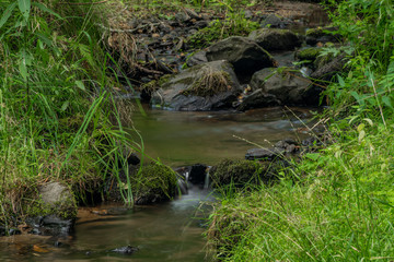 Naklejka na ściany i meble Mala Libava creek in summer sunny day in Slavkovsky Les mountains