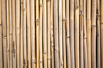 yellow bamboo wall background