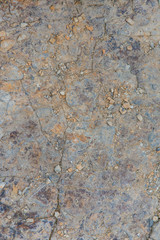 wild raw stone texture. multi-colored